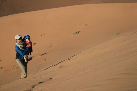 De dunes et palmeraie  du Draa